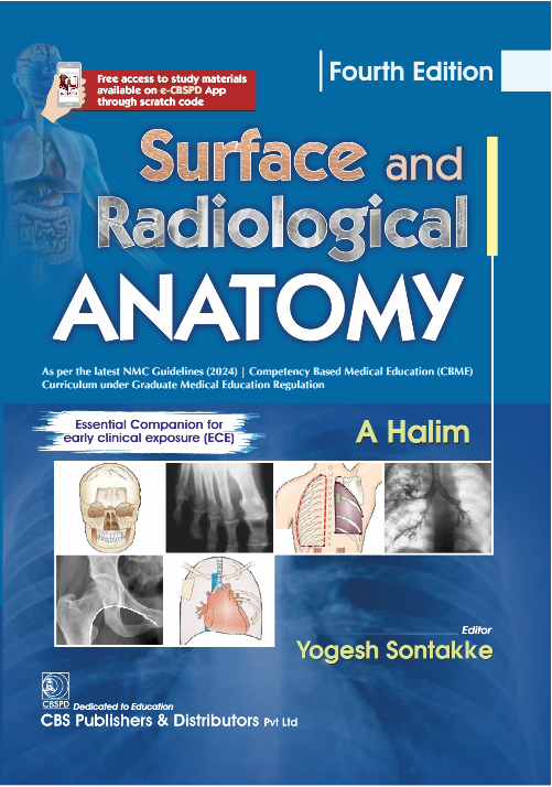 Surface and radiological anatomy