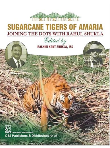 Sugarcane tigers of amaria
