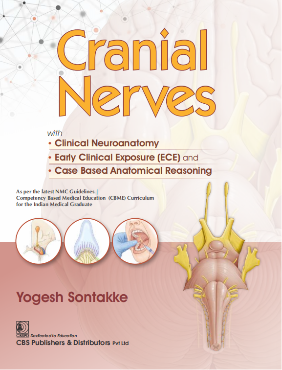 Cranial nerves