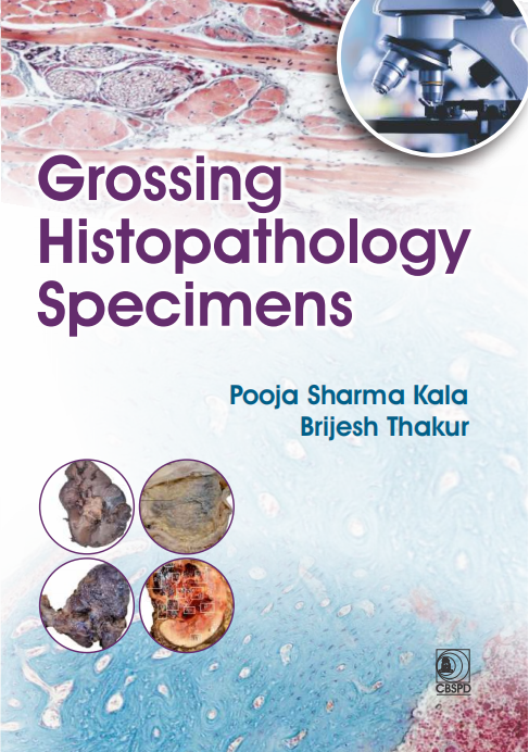 Grossing histopathology specimens