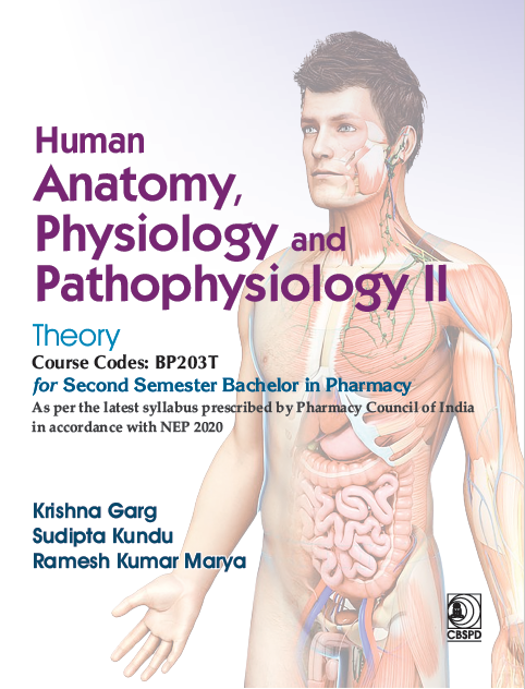 Human anatomy, physiology and pathophysiology ii theory  (course code: bp203t) for second semester bachelor in pharmacy