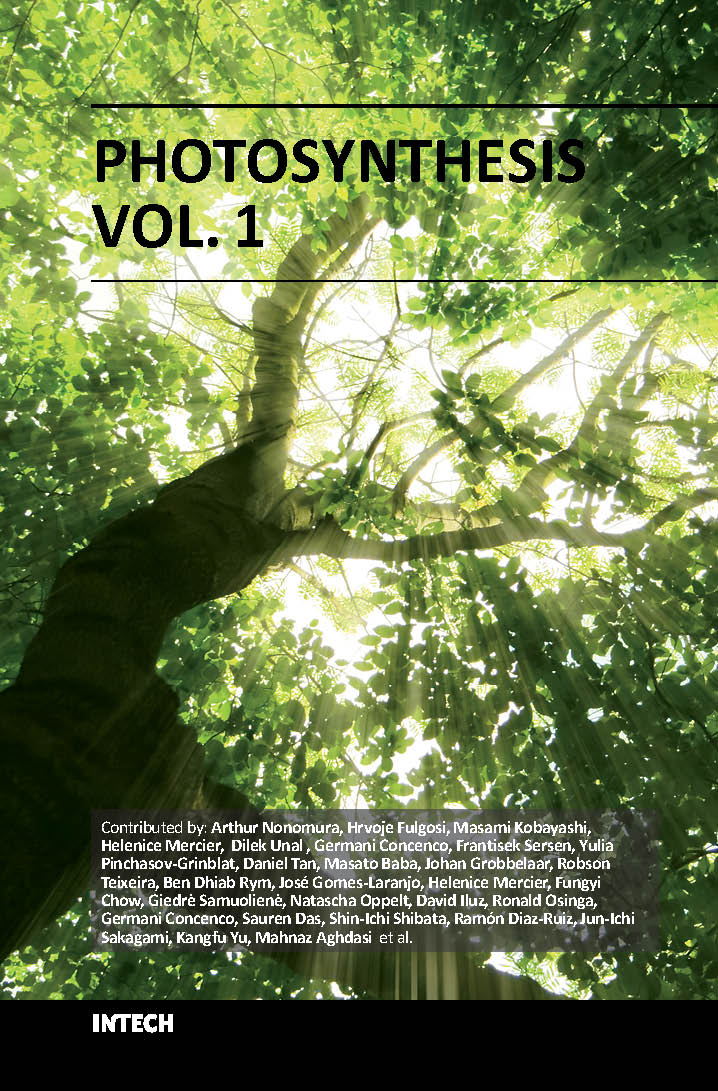 Photosynthesis vol 1 (hb 2016) 