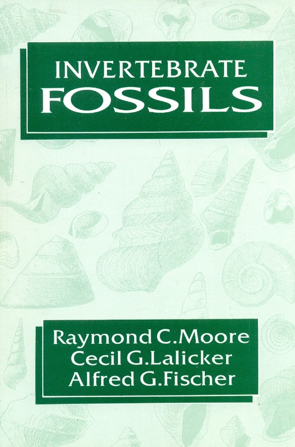 Invertebrate fossils