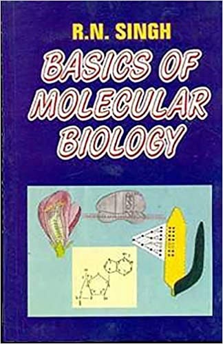Basics of molecular biology