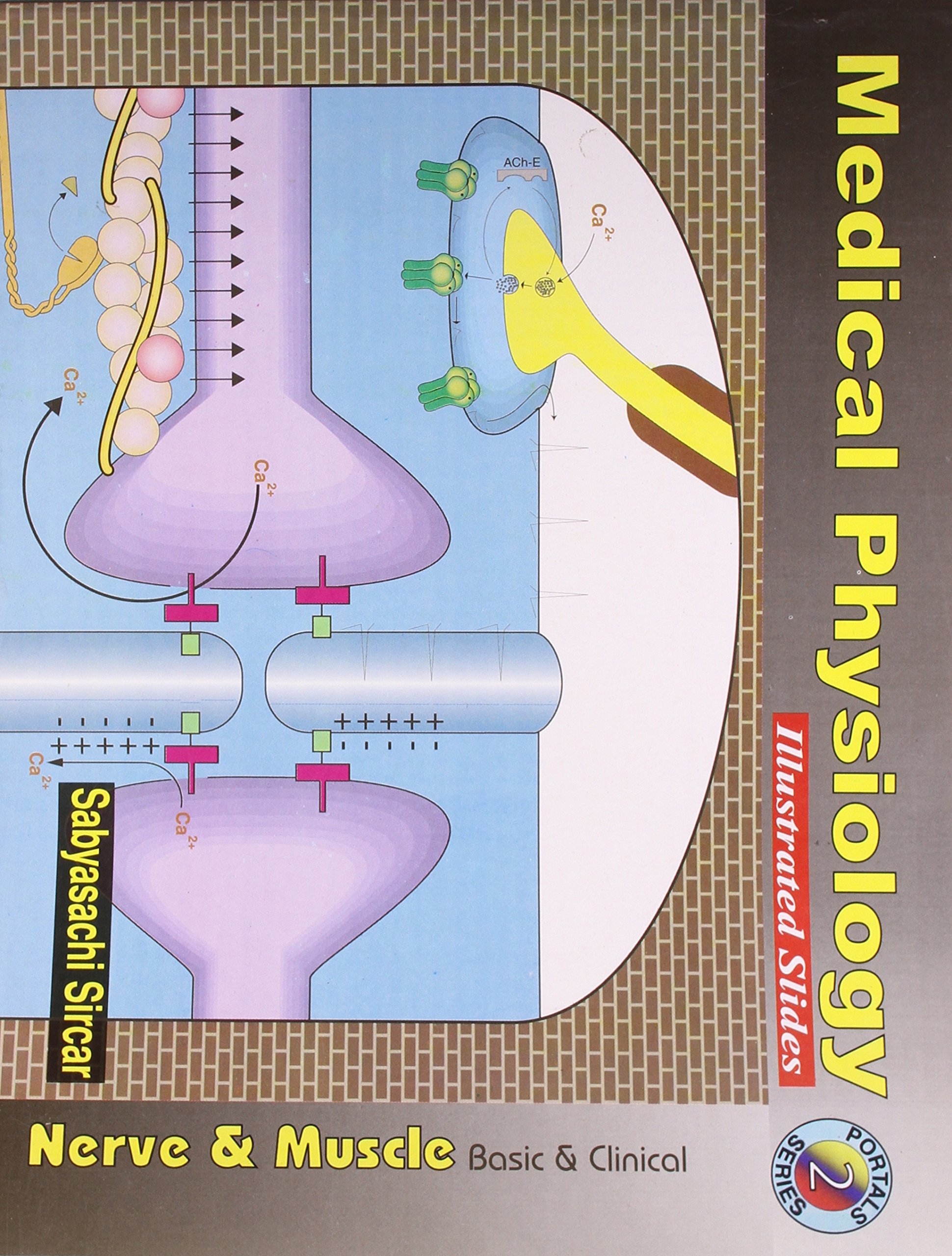Medical physiology: illustrated slides, basic & clinical, part ii : nerve & muscle