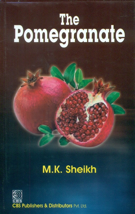 The pomegranate