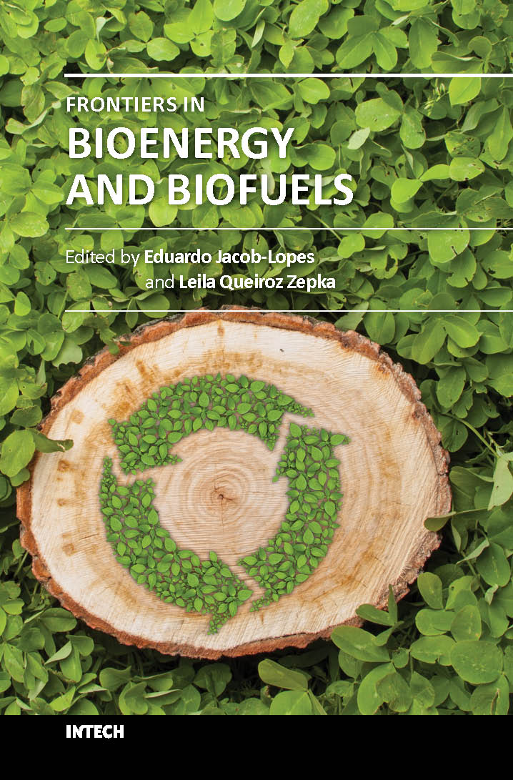 Frontiers in bioenergy and biofules (hb 2018)
