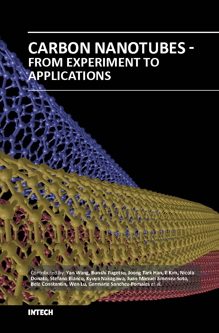 Carbon nanotubes from experiment to applications (hb 2017) 