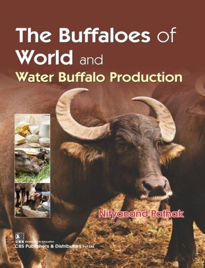 The buffaloes of the world and water buffalo production 