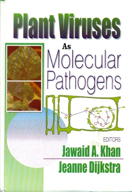 Plant viruses as molecular pathogens