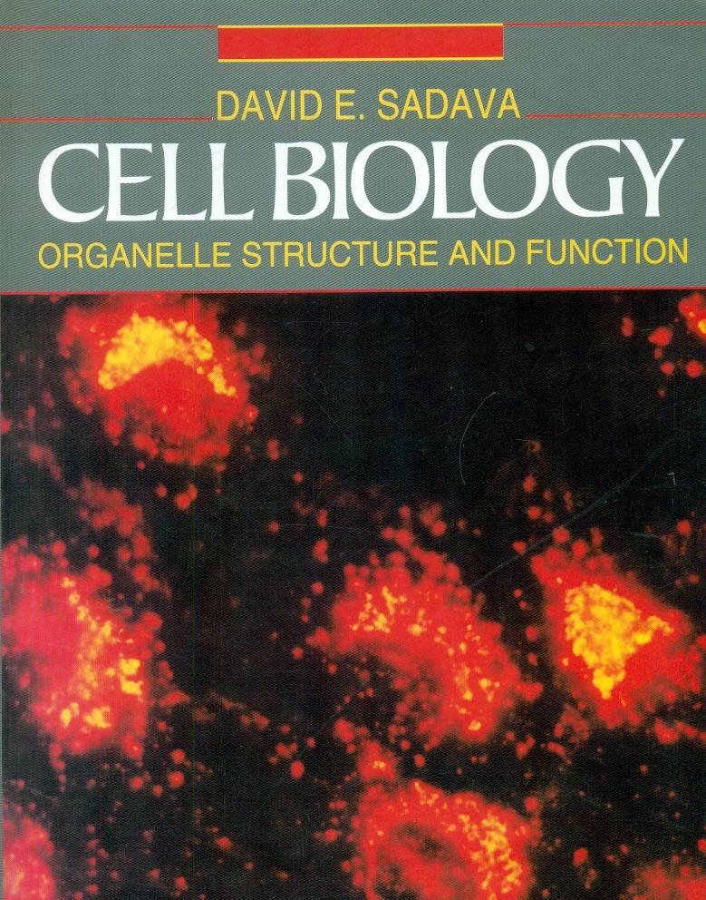 Cell biology : organelle structure and function