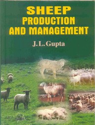 Sheep production and management