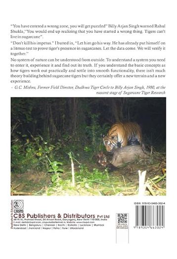 Sugarcane tigers of amaria