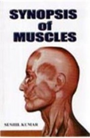 Synopsis of muscles