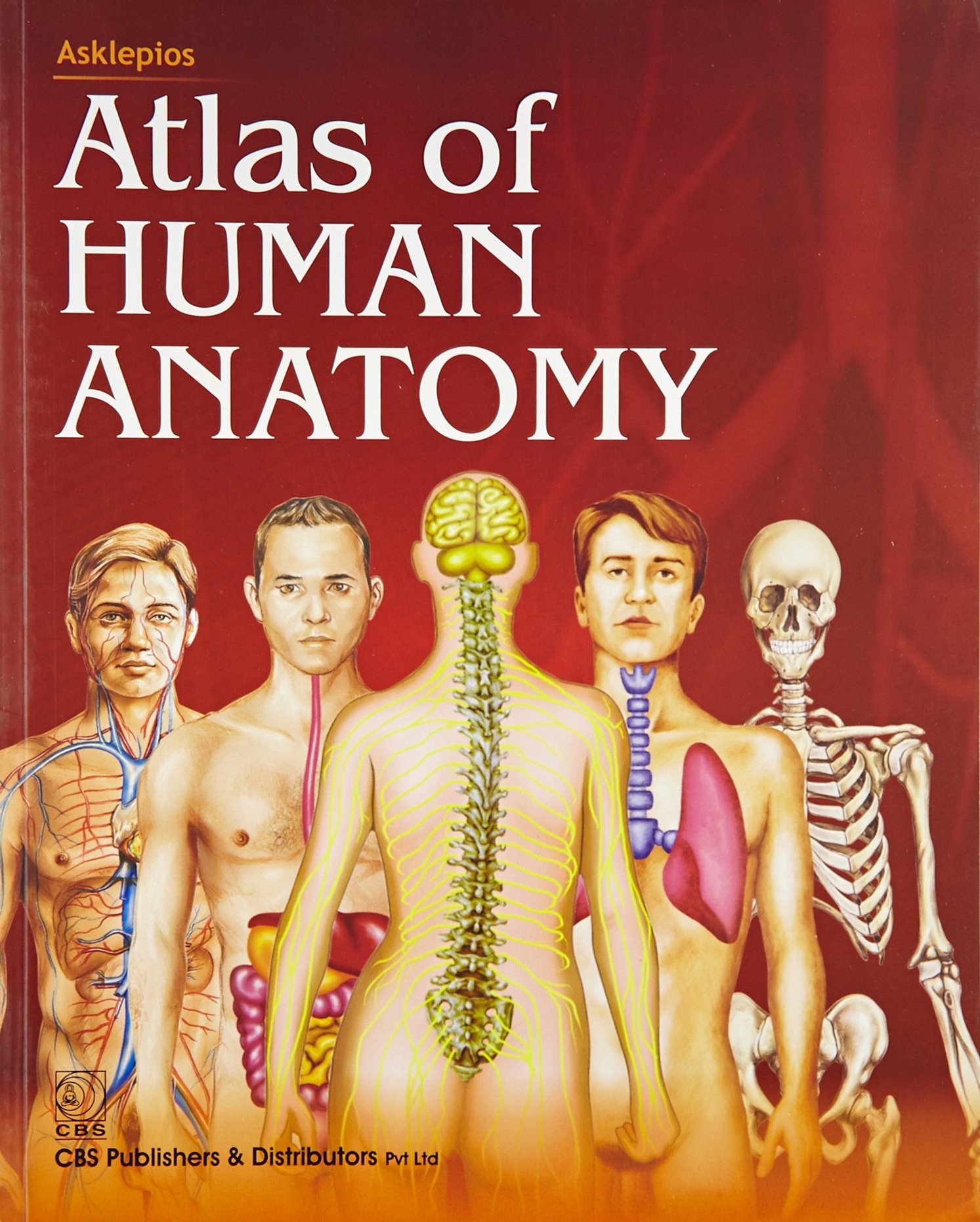 Asklepios atlas of human anatomy sie